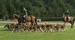 Circonstances et Animaux Solo-Duo-Trio